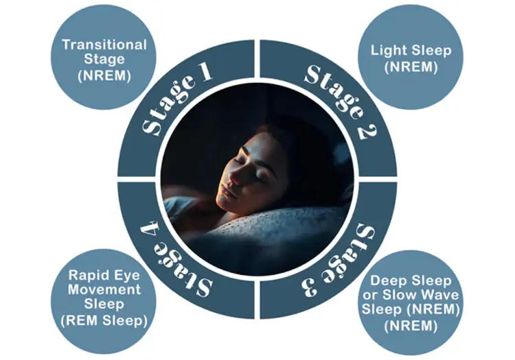 What is Core Sleep and Healthy Rest